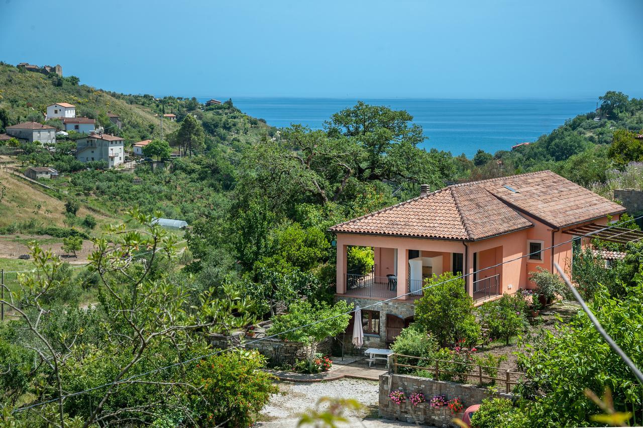 Il Melograno Bed & Breakfast Pollica Dış mekan fotoğraf
